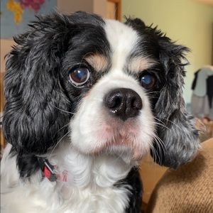 Meet your Posher, Marriah